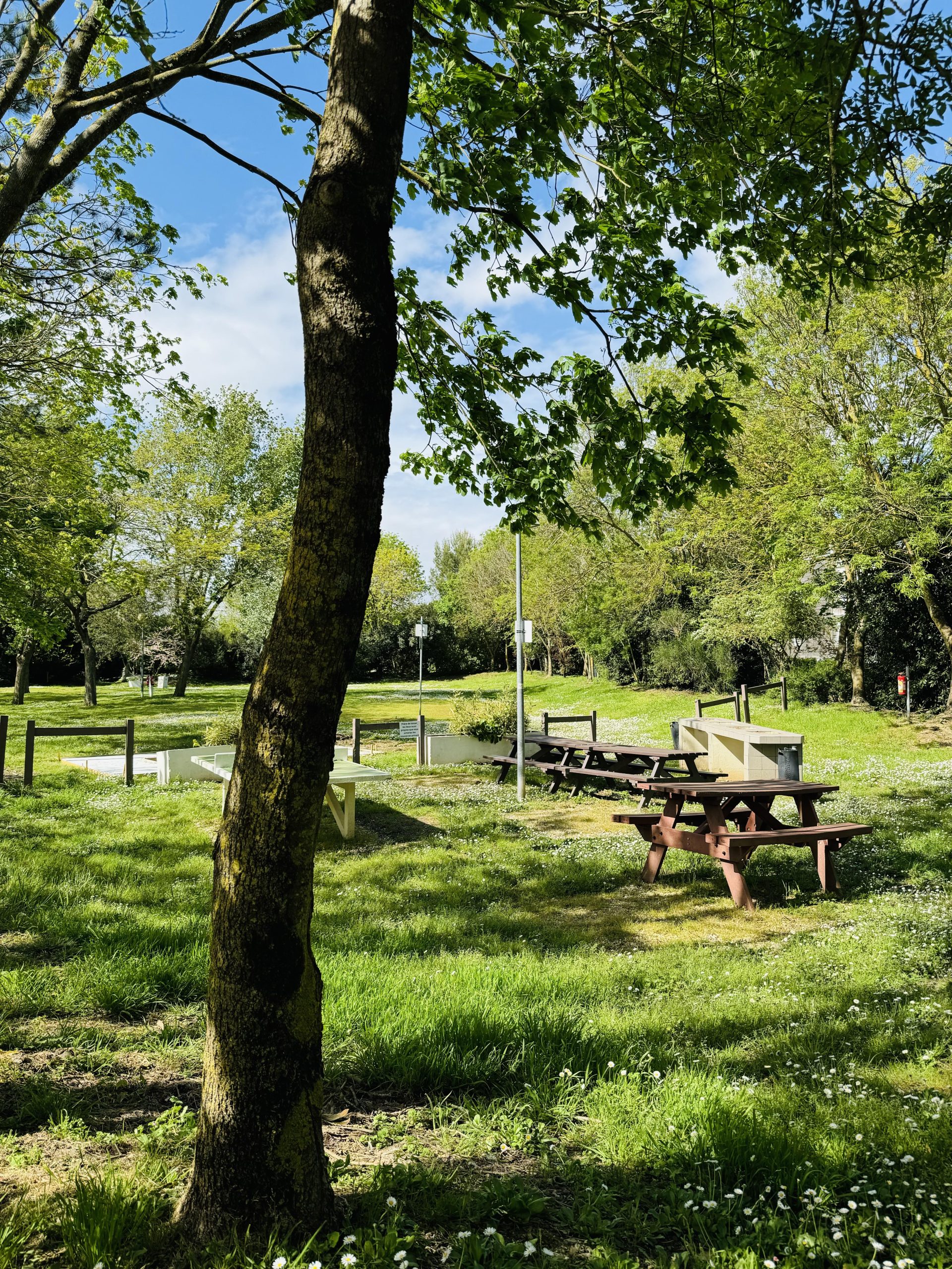 Table de pique nique et table de ping pong en extérieur